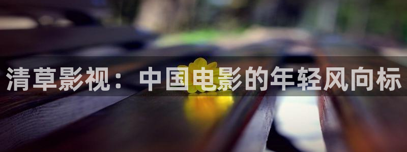 奇米在线影视：清草影视：中国电影的年轻风向标