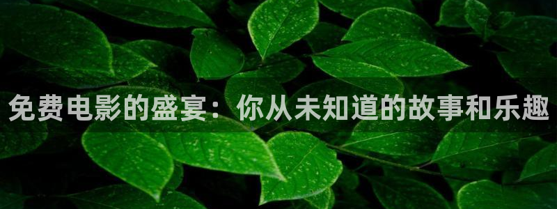 奇米在线视频网站：免费电影的盛宴：你从未知道的故事和乐趣