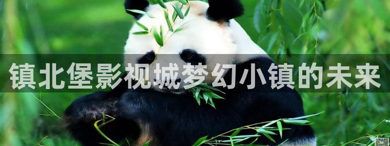 奇米在线看：镇北堡影视城梦幻小镇的未来